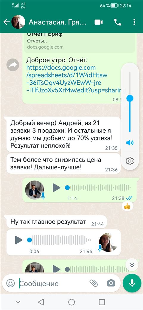 Грядки: переписка с Анастасией — из 21 заявки 3 продажи